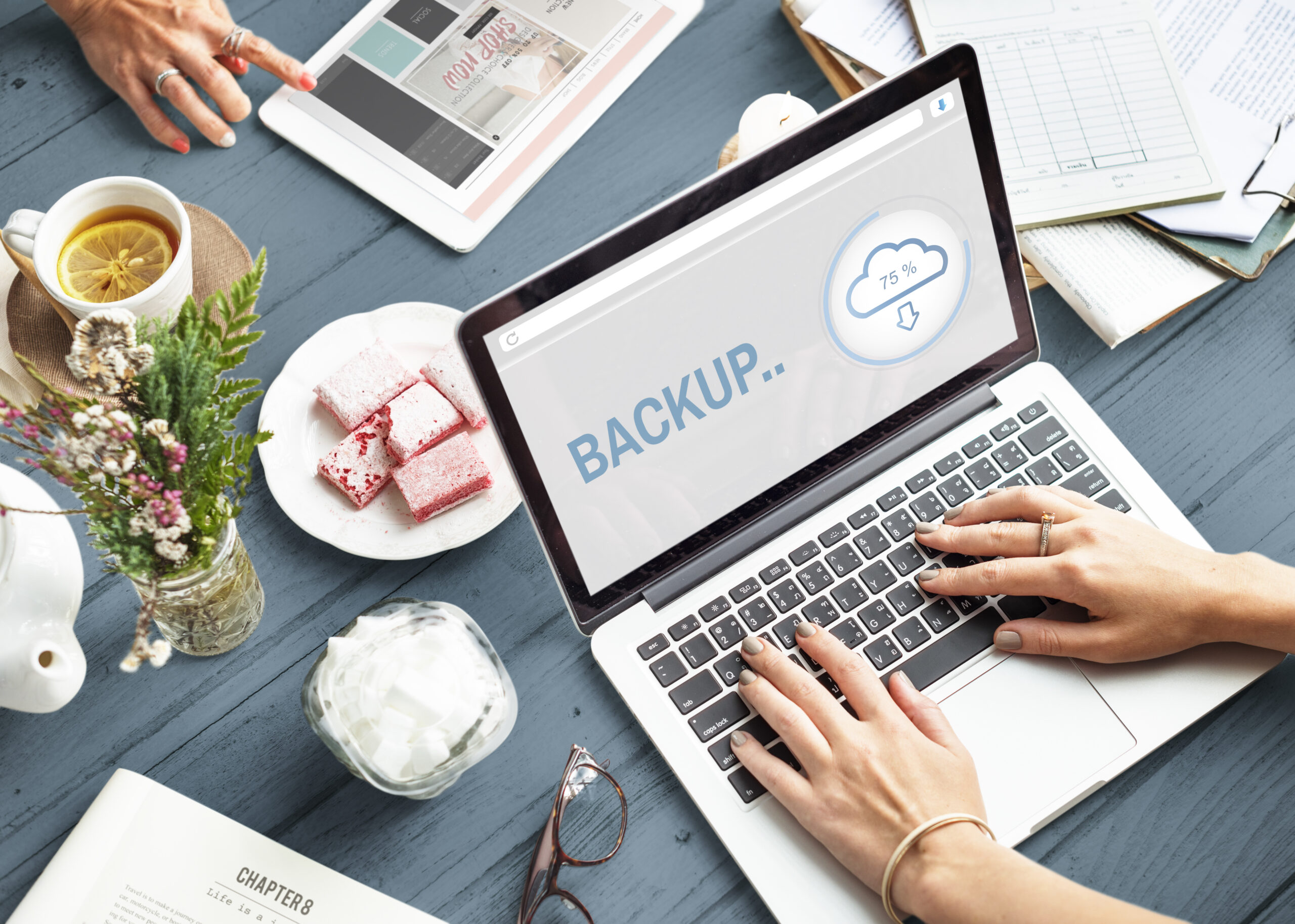 Cloud Storage Data Backup